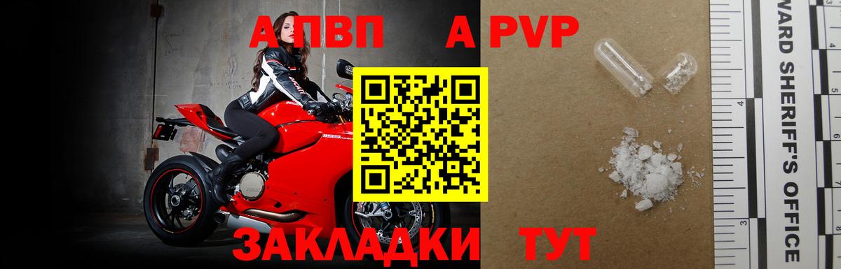 Alfa_PVP VHQ  A PVP СК КРИС  Кострома  Вход с VPN 