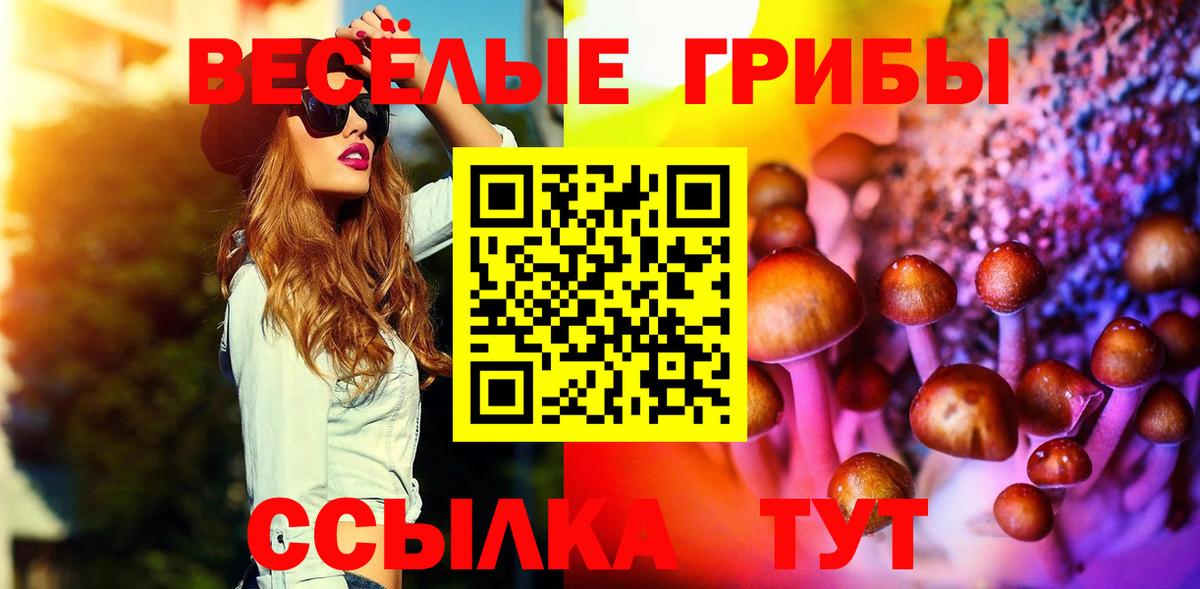 Галлюциногенные грибы MAGIC MUSHROOMS Кострома