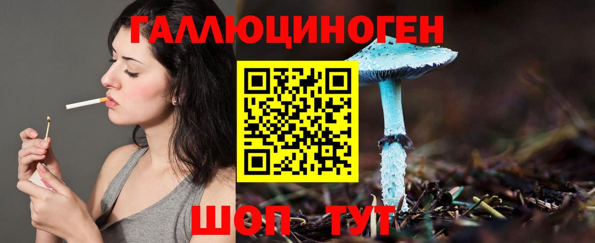 сколько стоит  Галлюциногенные грибы Magic Shrooms  Вход с VPN  Псилоцибиновые грибы Cubensis  Кострома 